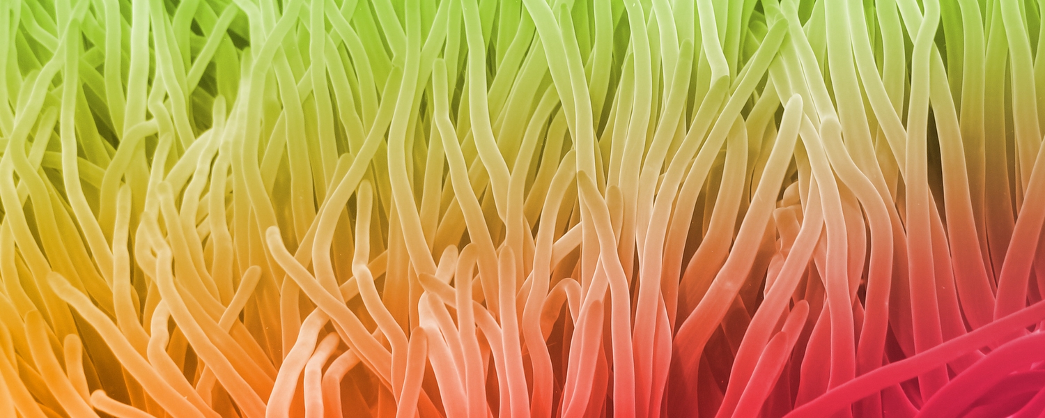 grafikdesign